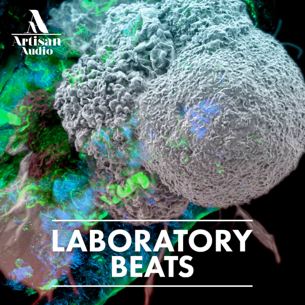 laboratory-beats-artisan-audio
