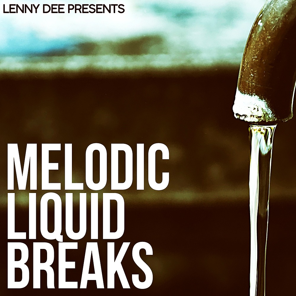lenny-dee-melodic-liquid-breaks