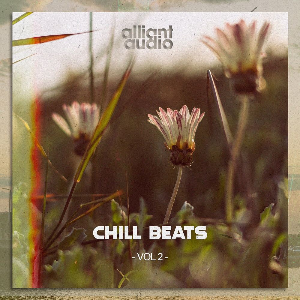 chill-beats-vol-2-alliant-audio