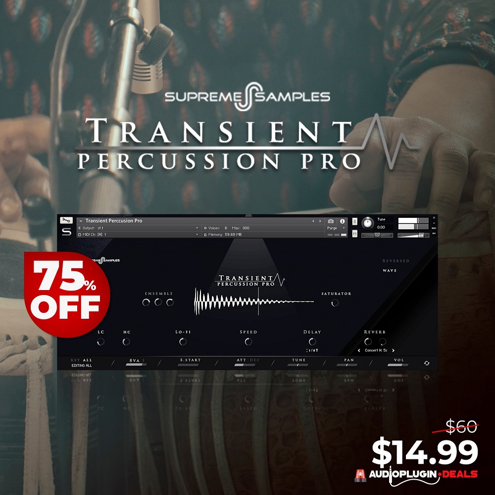transient-percussion-pro