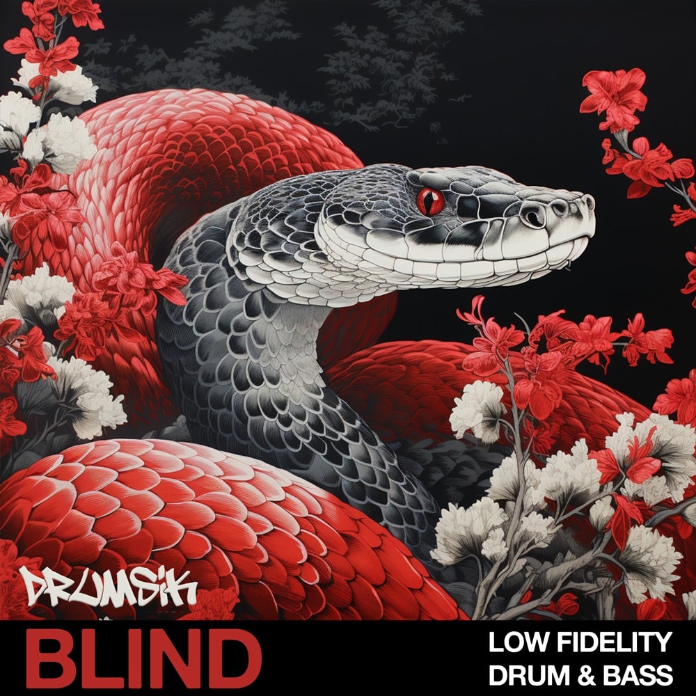 low-fidelity-blind-audio
